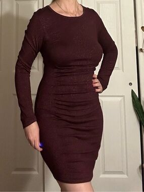Express Long Sleeve Bodycon Dress in Deep Wine